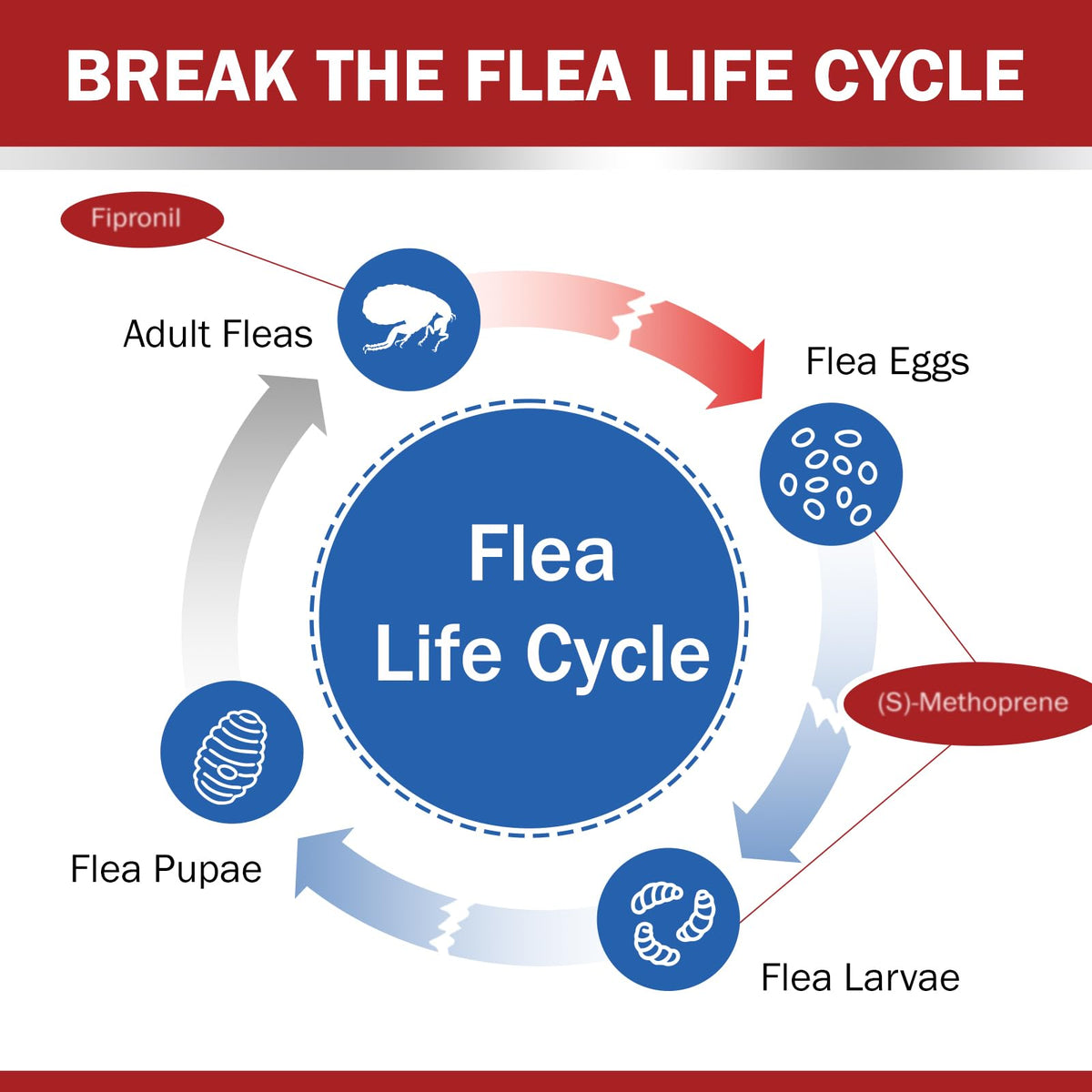 Flea and Tick Prevention for Large Dogs 45 to 88 lbs Y8503