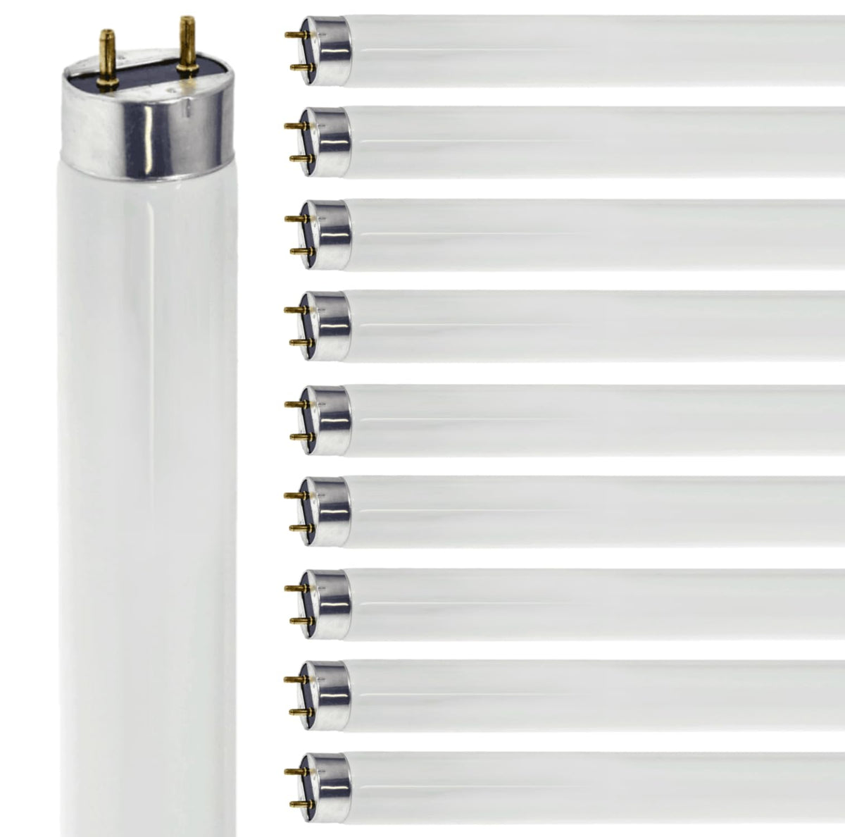 24 Inch T8 Fluorescent Tube Light Bulb 17W 5000K Bright White G13 Bi-Pin Base Pack of 10 W764578