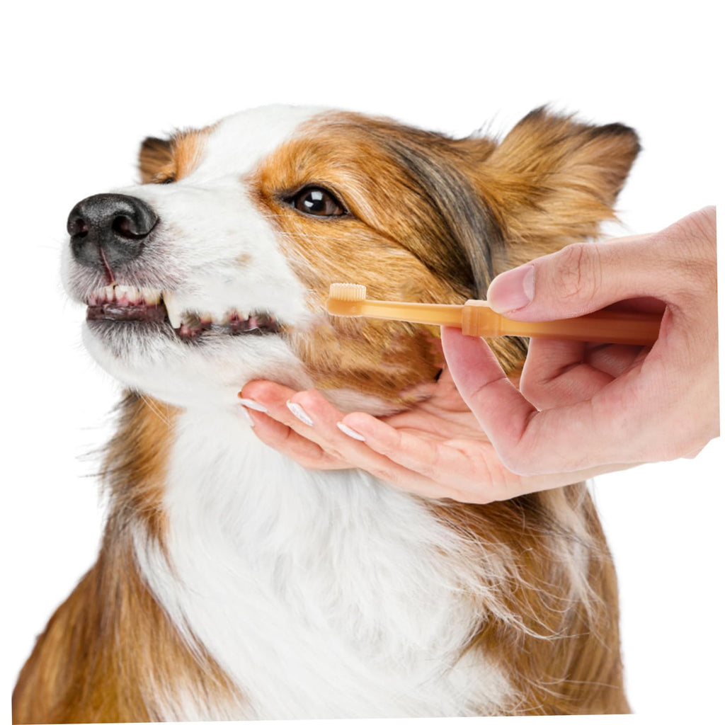 Silicone Dog Toothbrush Kit B456