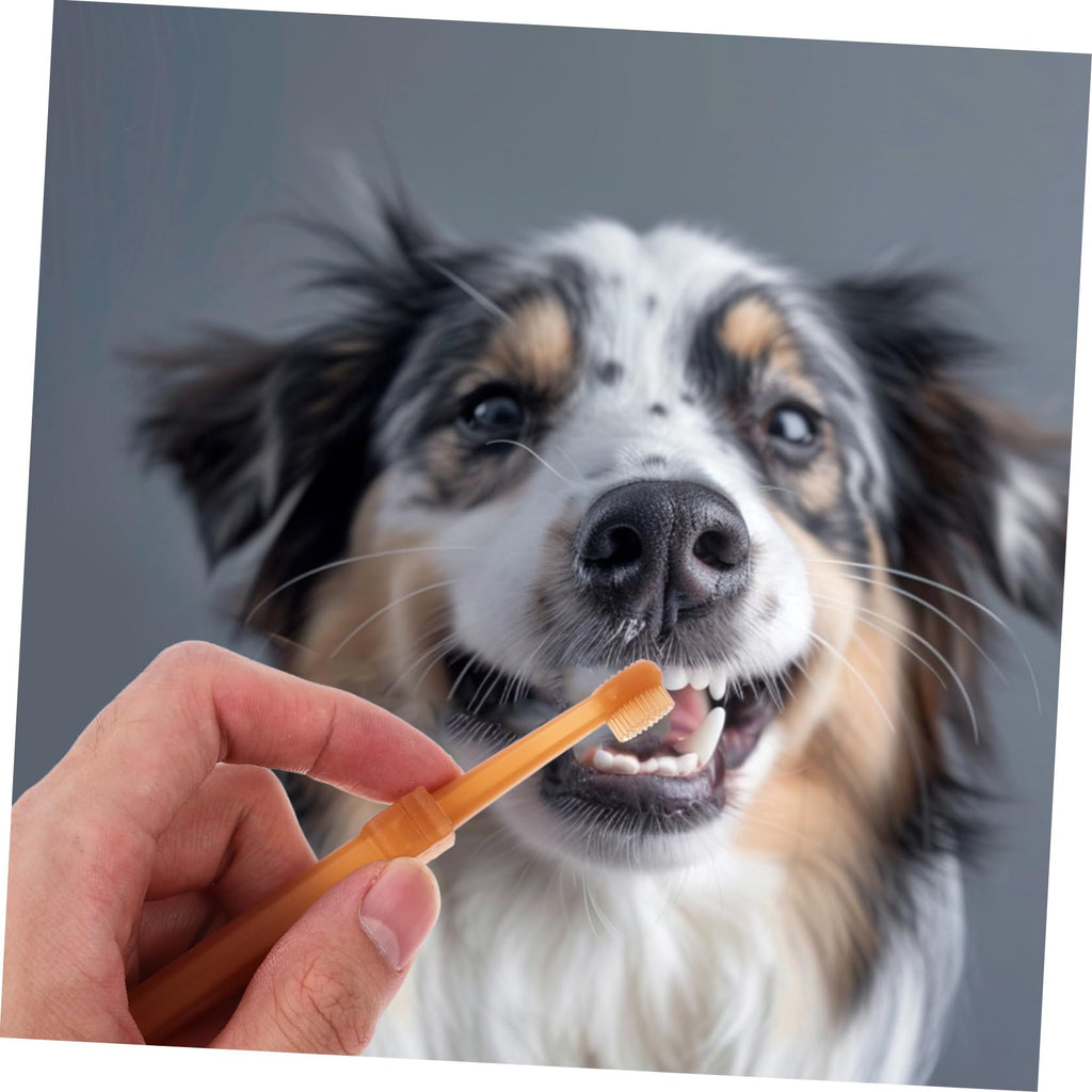 Silicone Dog Toothbrush Kit B456