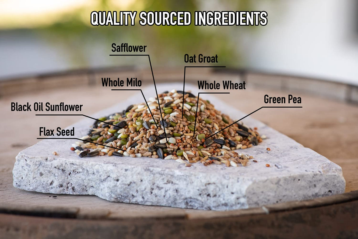 Whole Grain Scratch Feed 5-Pounds O5309