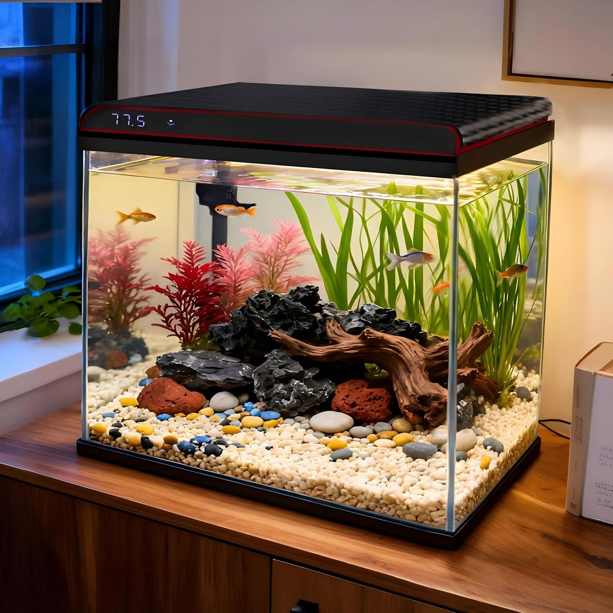 10 Gallon Glass Fish Tank Aquarium Starter Kit V4332