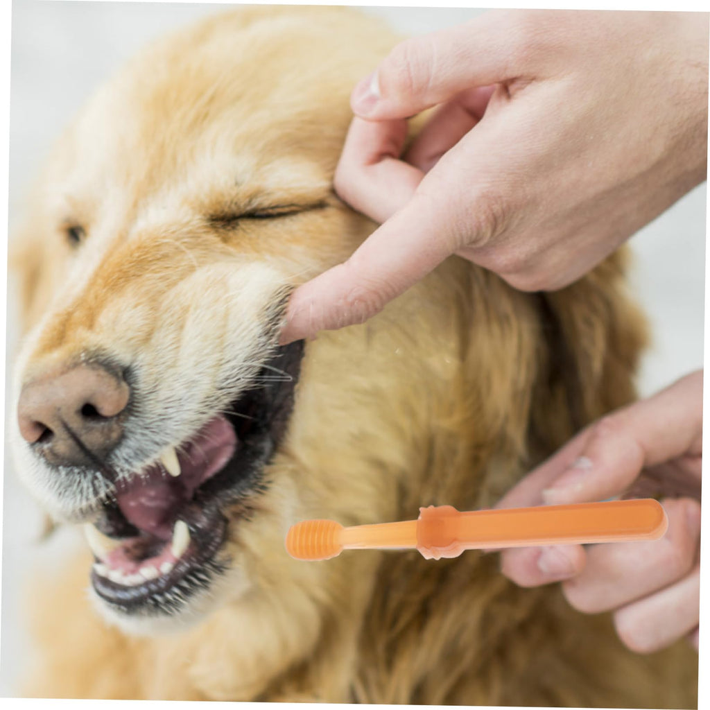 Silicone Dog Toothbrush Kit B456