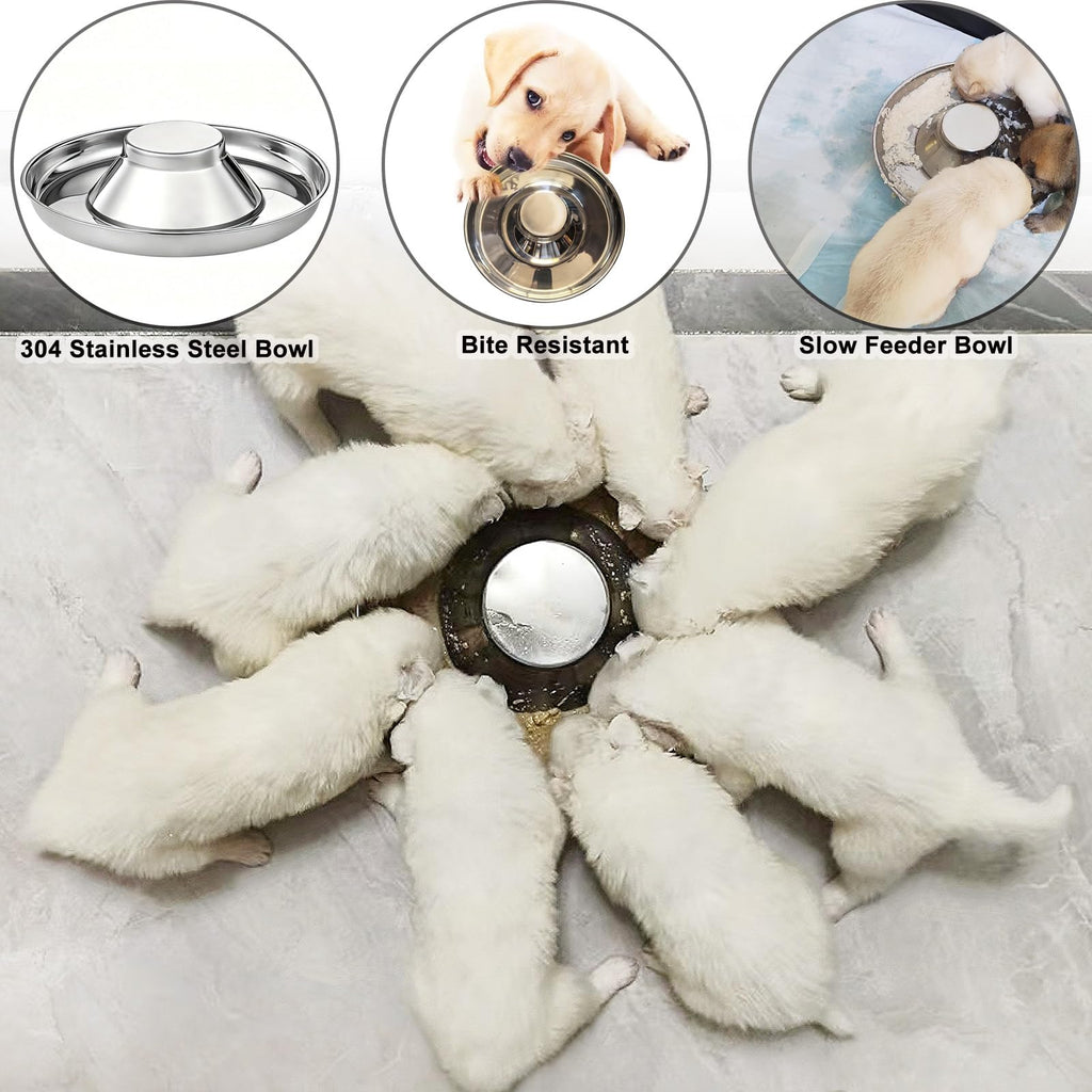 Stainless Steel Multi-Pet Feeding Bowl N25262