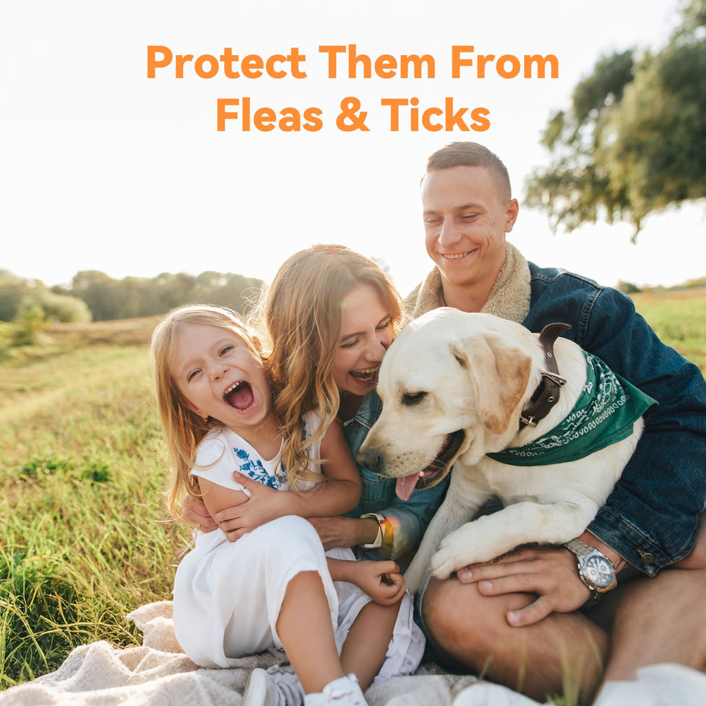Flea and Tick Prevention for Small Dogs & Puppies, 3 Monthly Doses L13715