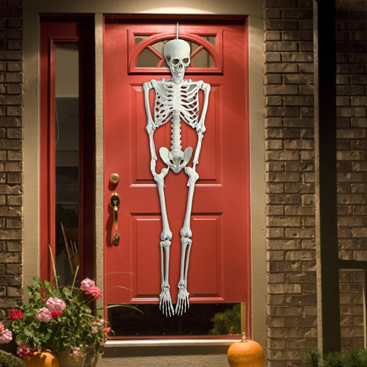 5.4FT Life Size Poseable Human Skeleton Prop D10001