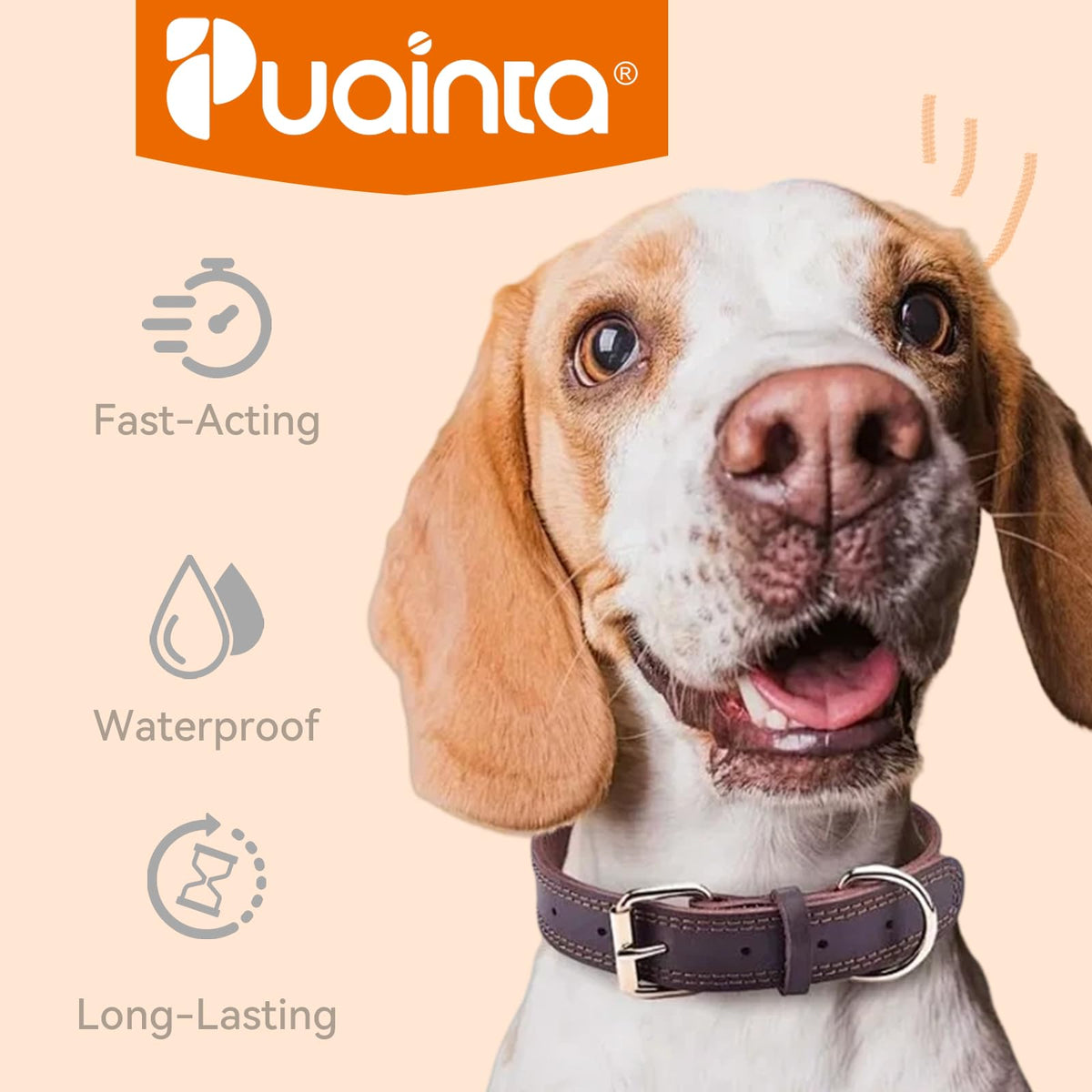 Flea and Tick Prevention for Small Dogs & Puppies, 3 Monthly Doses L13715