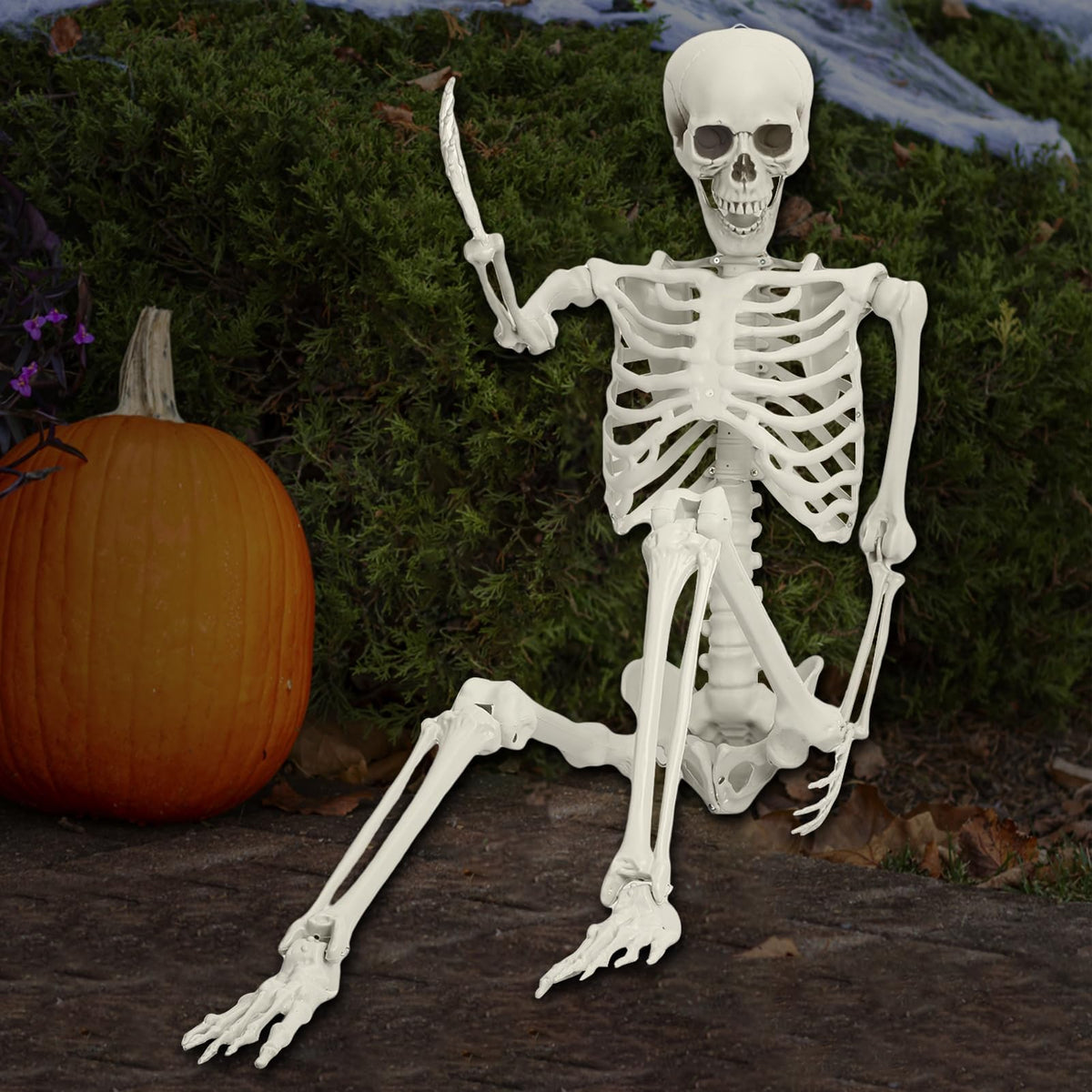 5.4FT Life Size Poseable Human Skeleton Prop D10001