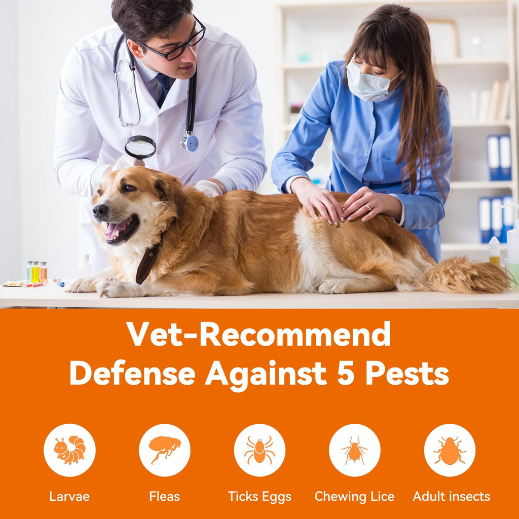 Flea and Tick Prevention for Small Dogs & Puppies, 3 Monthly Doses L13715