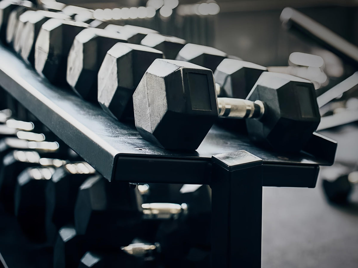 10LB Rubber Hex Dumbbells Set of 2 S198