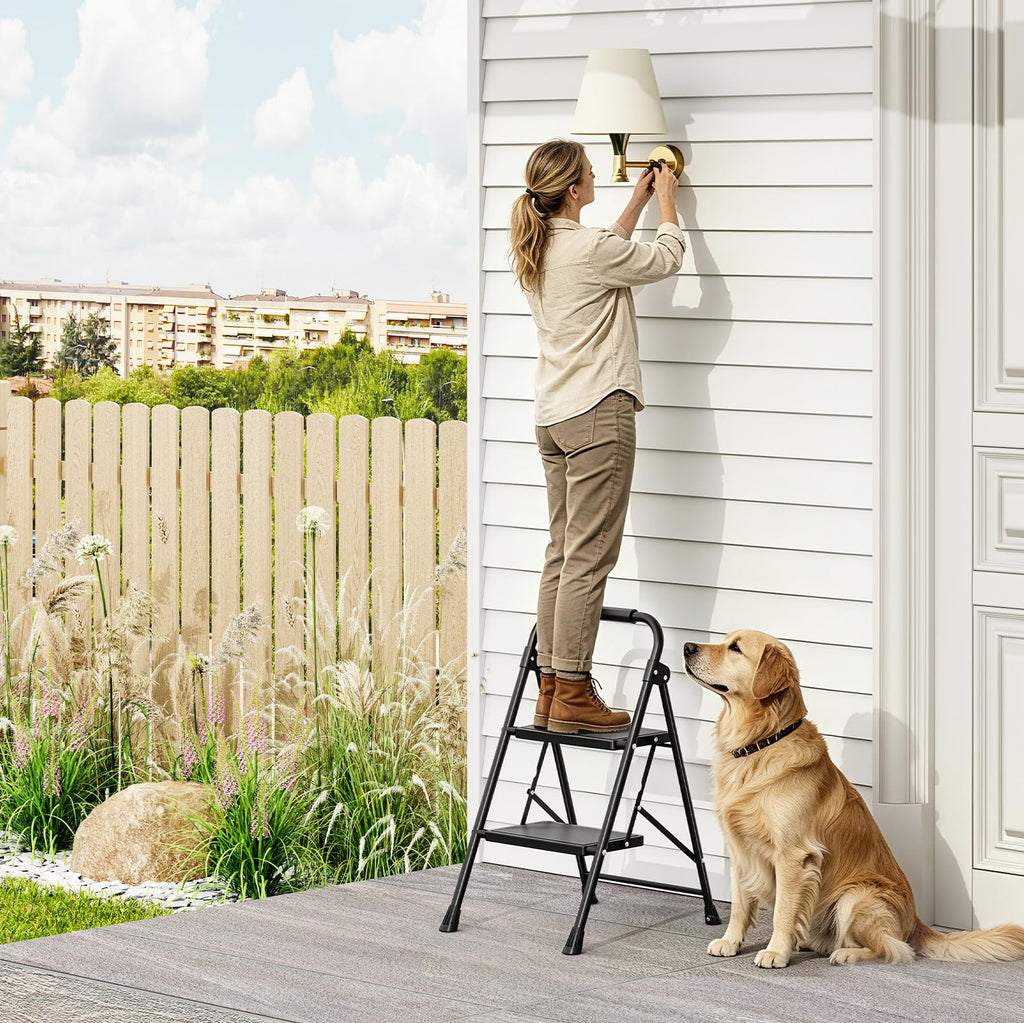 2 Step Folding Step Stool with Handrail Black V49162