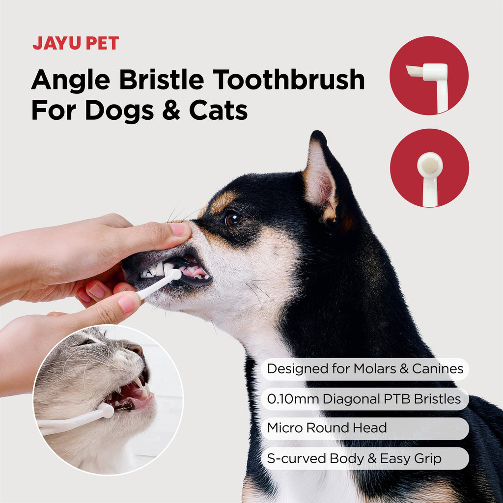 Micro Round Head Dog and Cat Toothbrush W89759