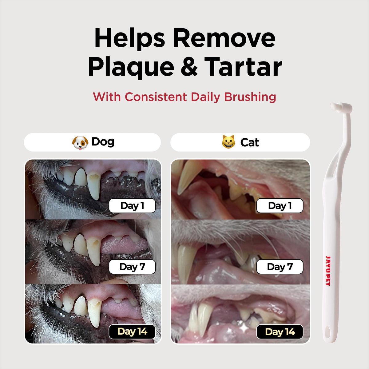 Micro Round Head Dog and Cat Toothbrush W89759