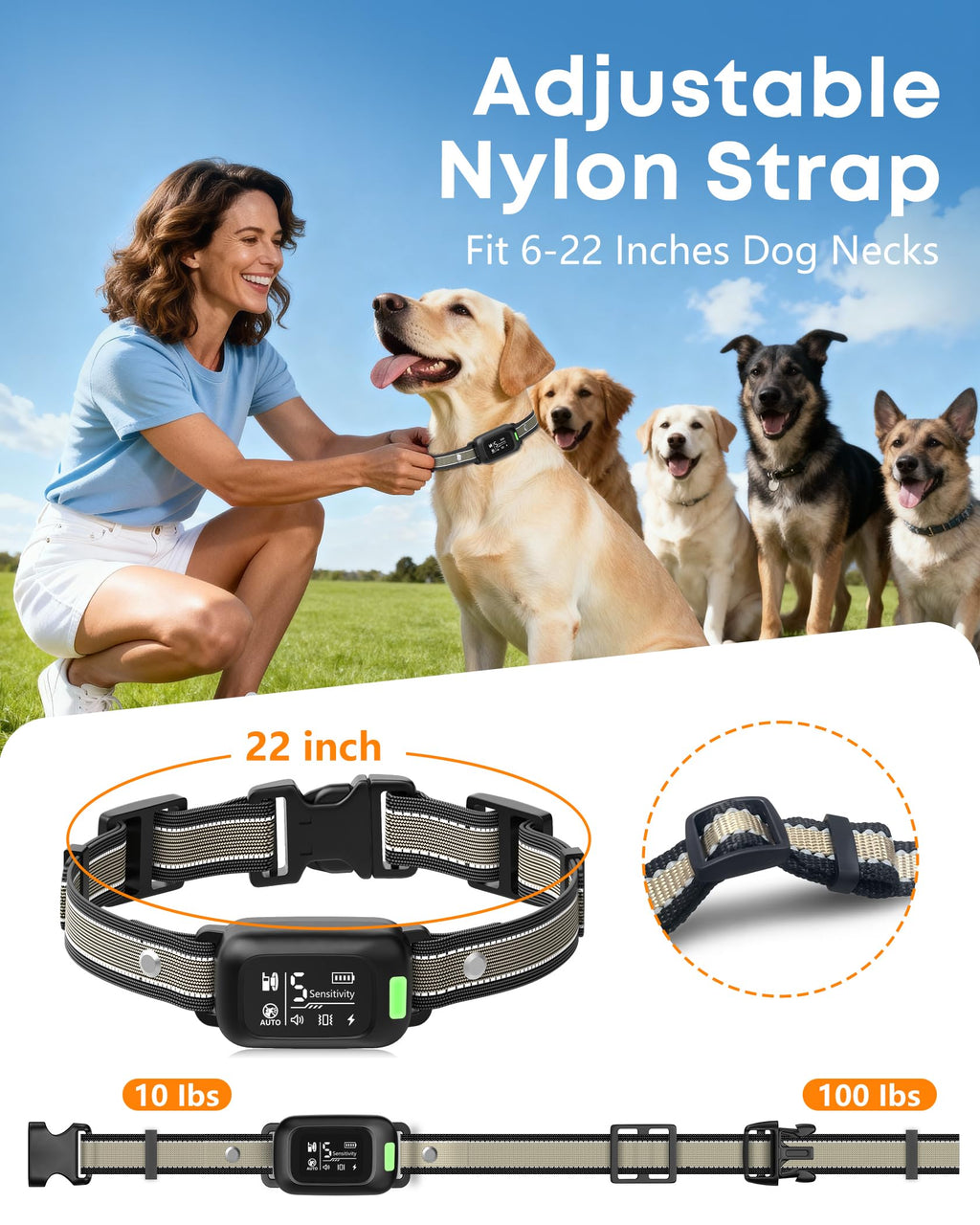 2-in-1 Dog Bark & Shock Collar with Remote X104676