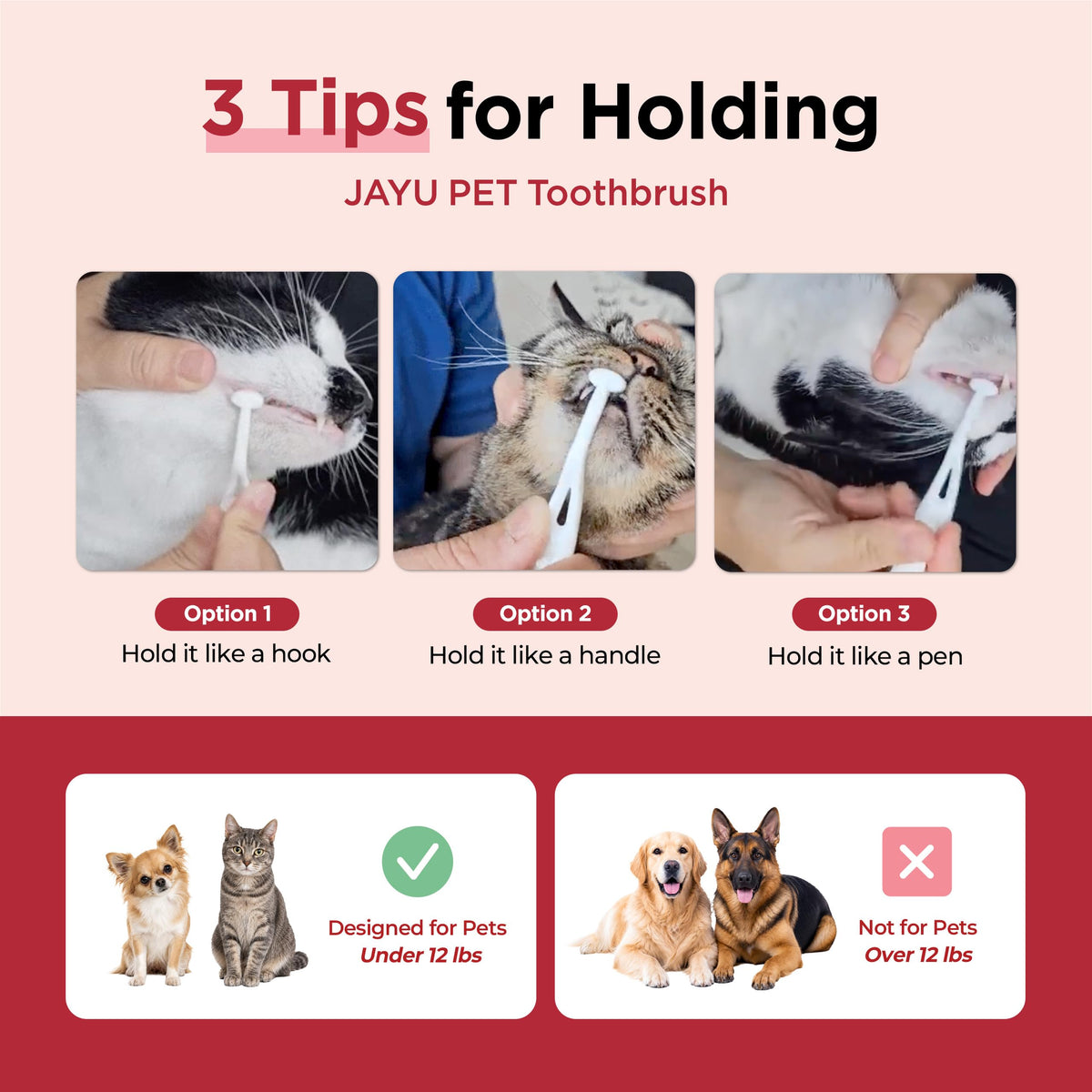 Micro Round Head Dog and Cat Toothbrush W89759