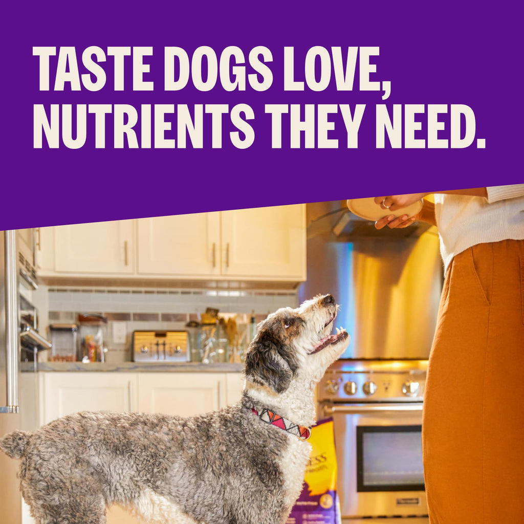 Large Breed Adult Dry Dog Food Chicken and Brown Rice 30 lb Bag L8865