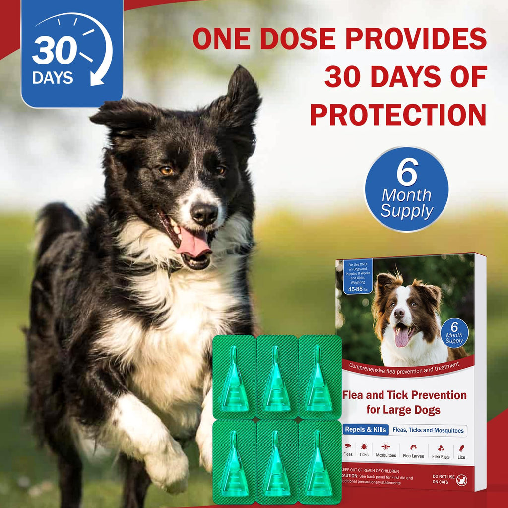 Flea and Tick Prevention for Large Dogs 45 to 88 lbs Y8503