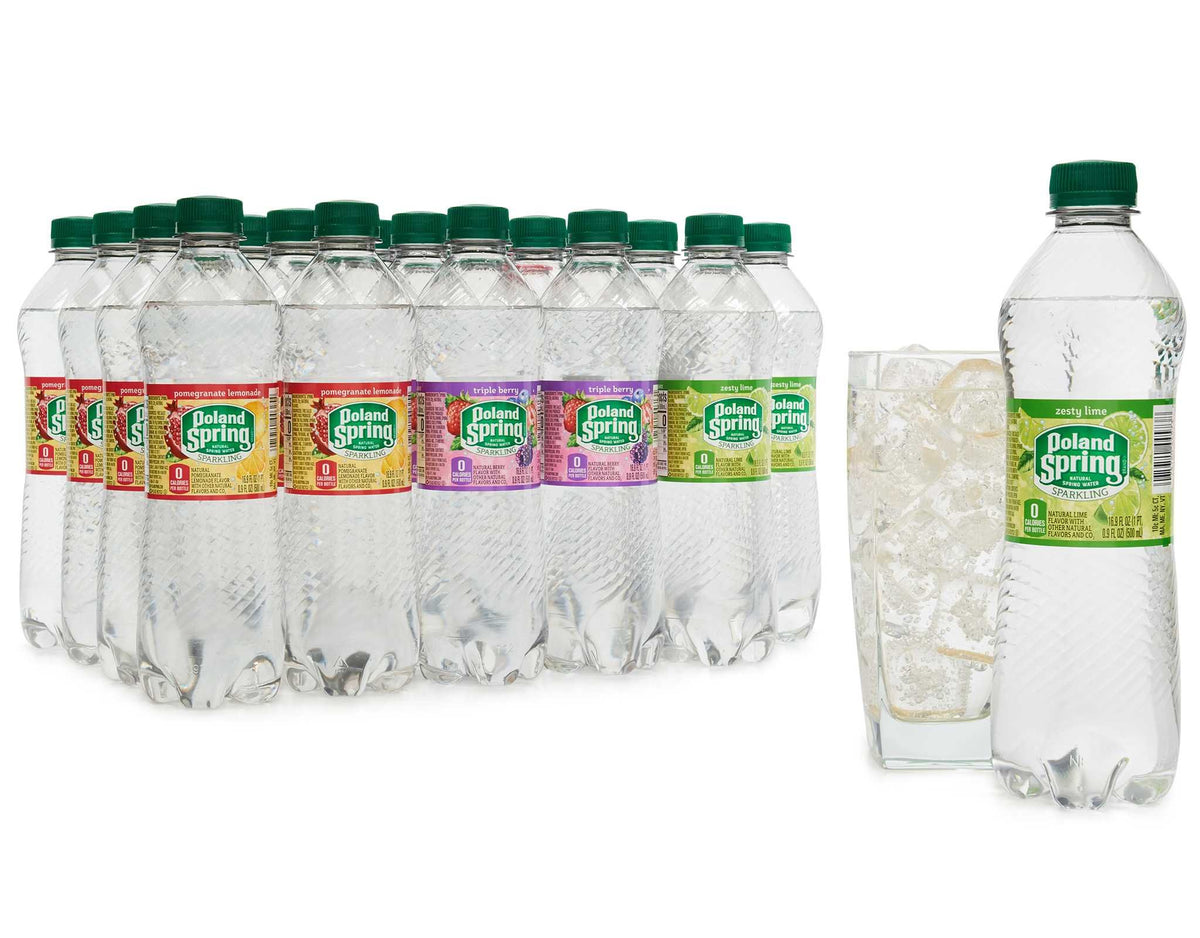 Sparkling Natural Spring Water Variety Pack 24 Half Liter Bottles E9383