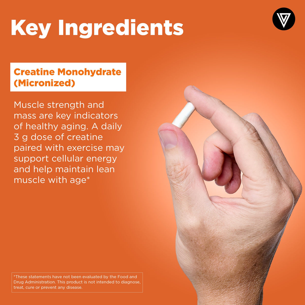 Creatine Monohydrate Pills M418867